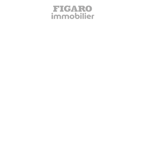 Client Figaro Immobilier